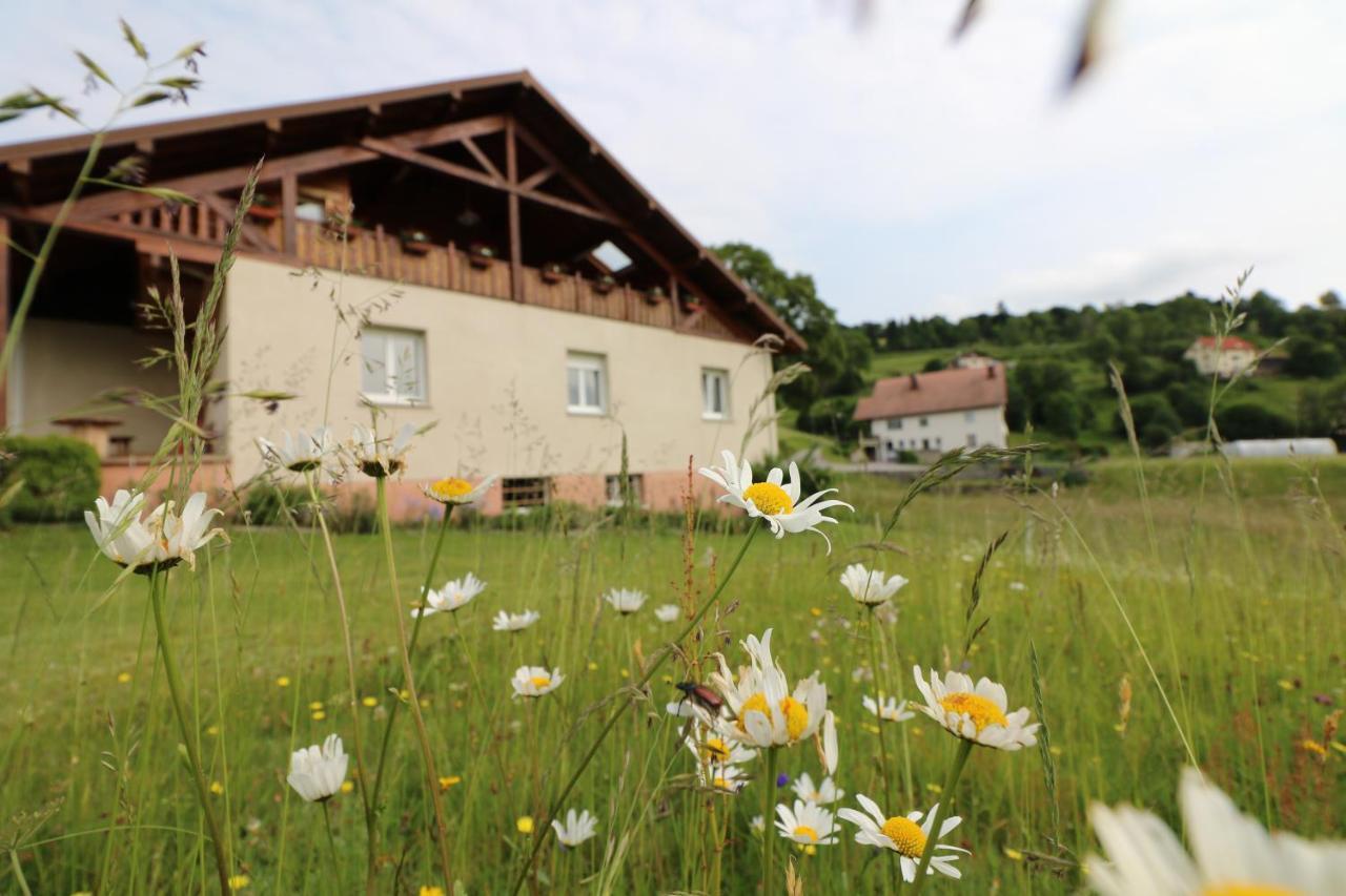 Les Chantenees La Bresse Exterior photo